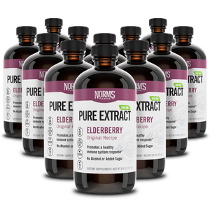 Elderberry Extract (8 oz.)