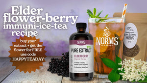 ElderFlower-Berry Immuni-Ice-Tea Recipe