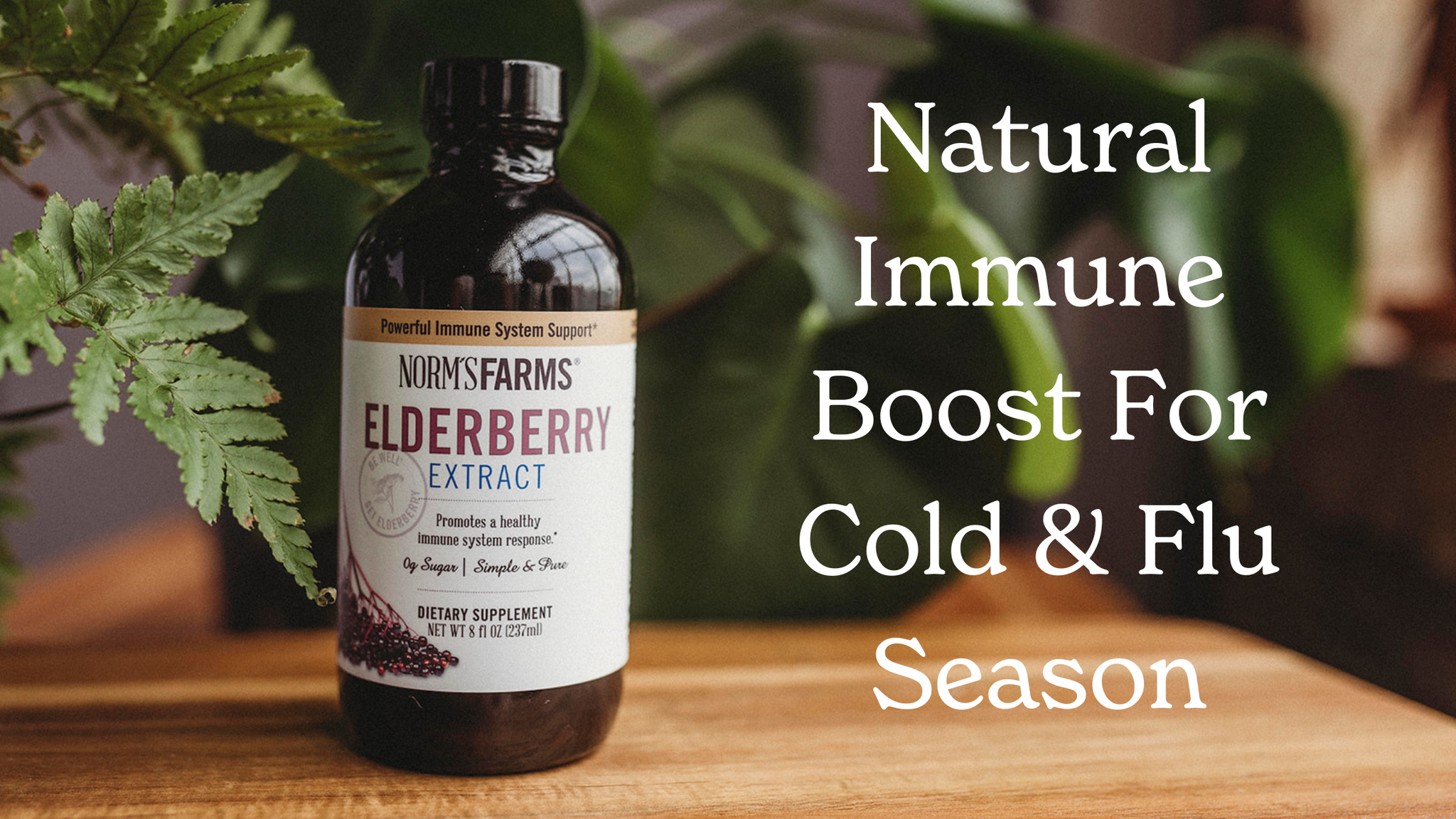 Natural Immune Boost For Cold & Flu Season