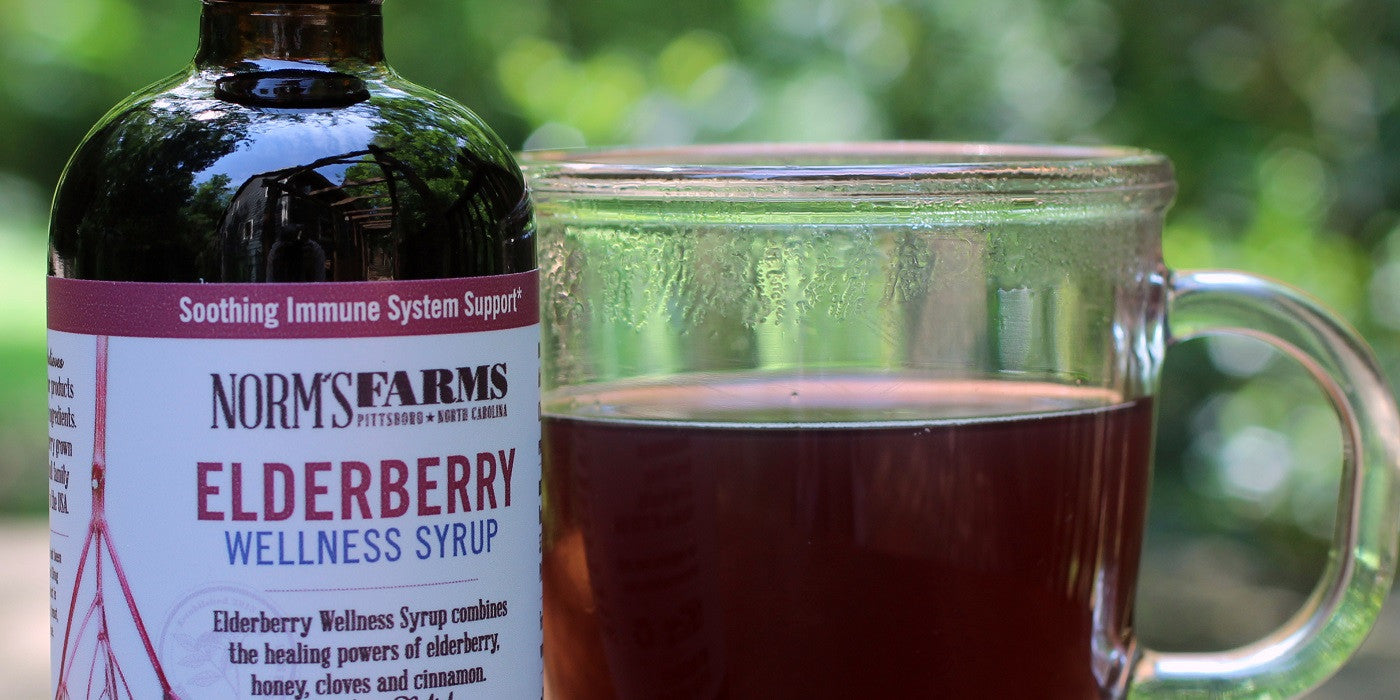 Elderberry Wellness Tea
