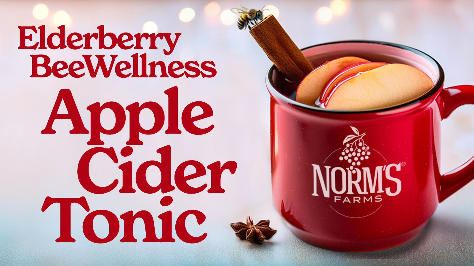 Elderberry BeeWellness Apple Cider Tonic