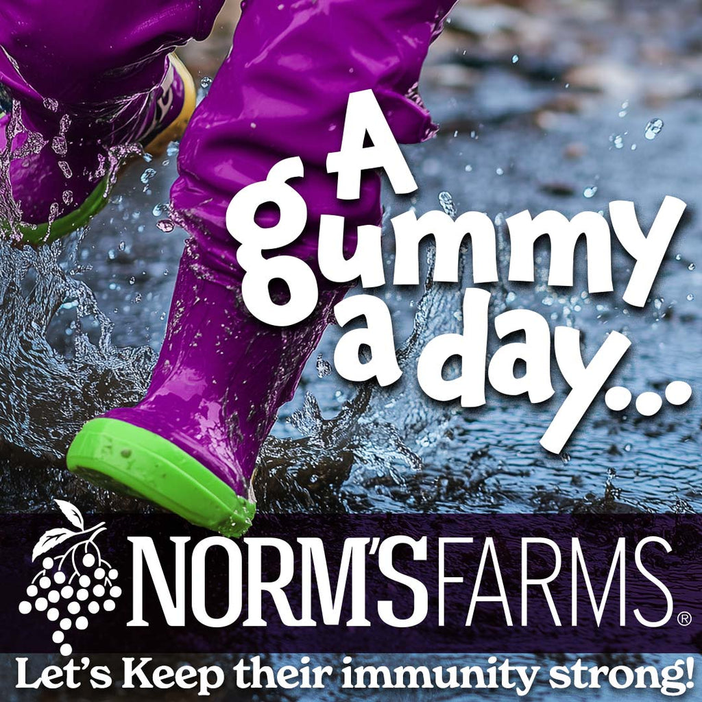 Organic Elderberry + Probiotic Gummies