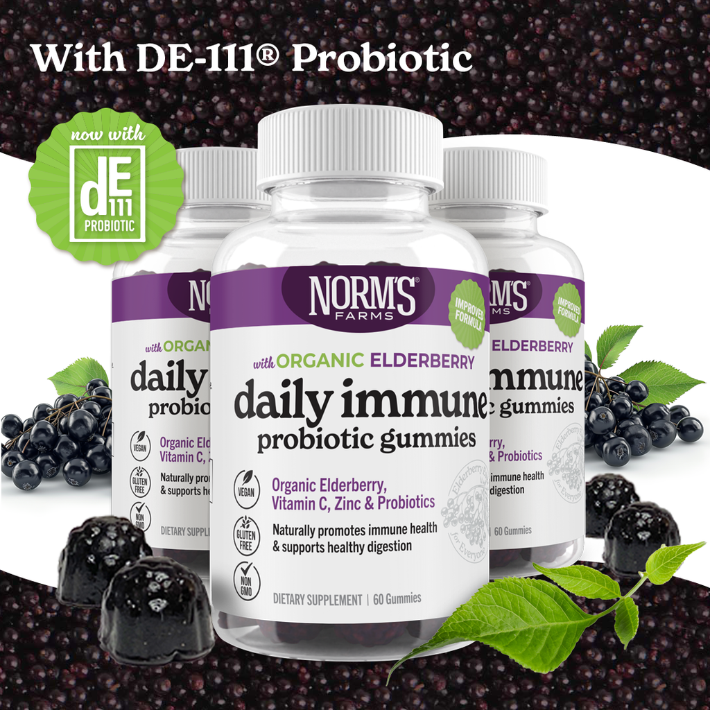 Organic Elderberry + Probiotic Gummies