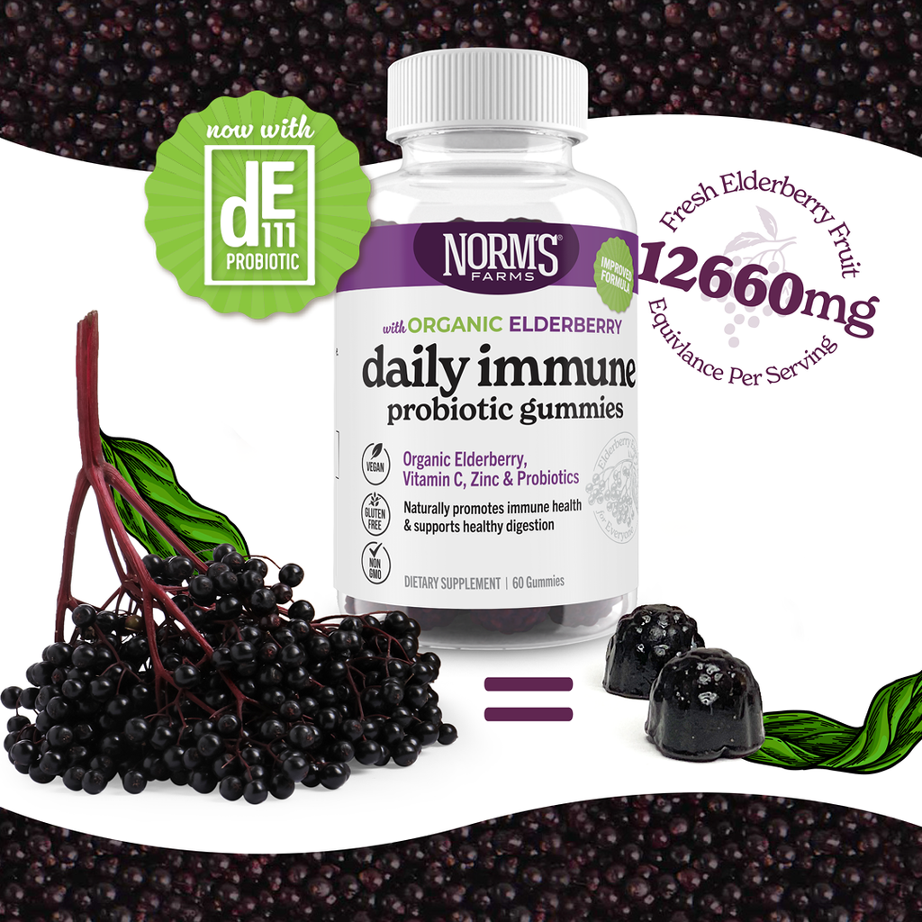 Organic Elderberry + Probiotic Gummies
