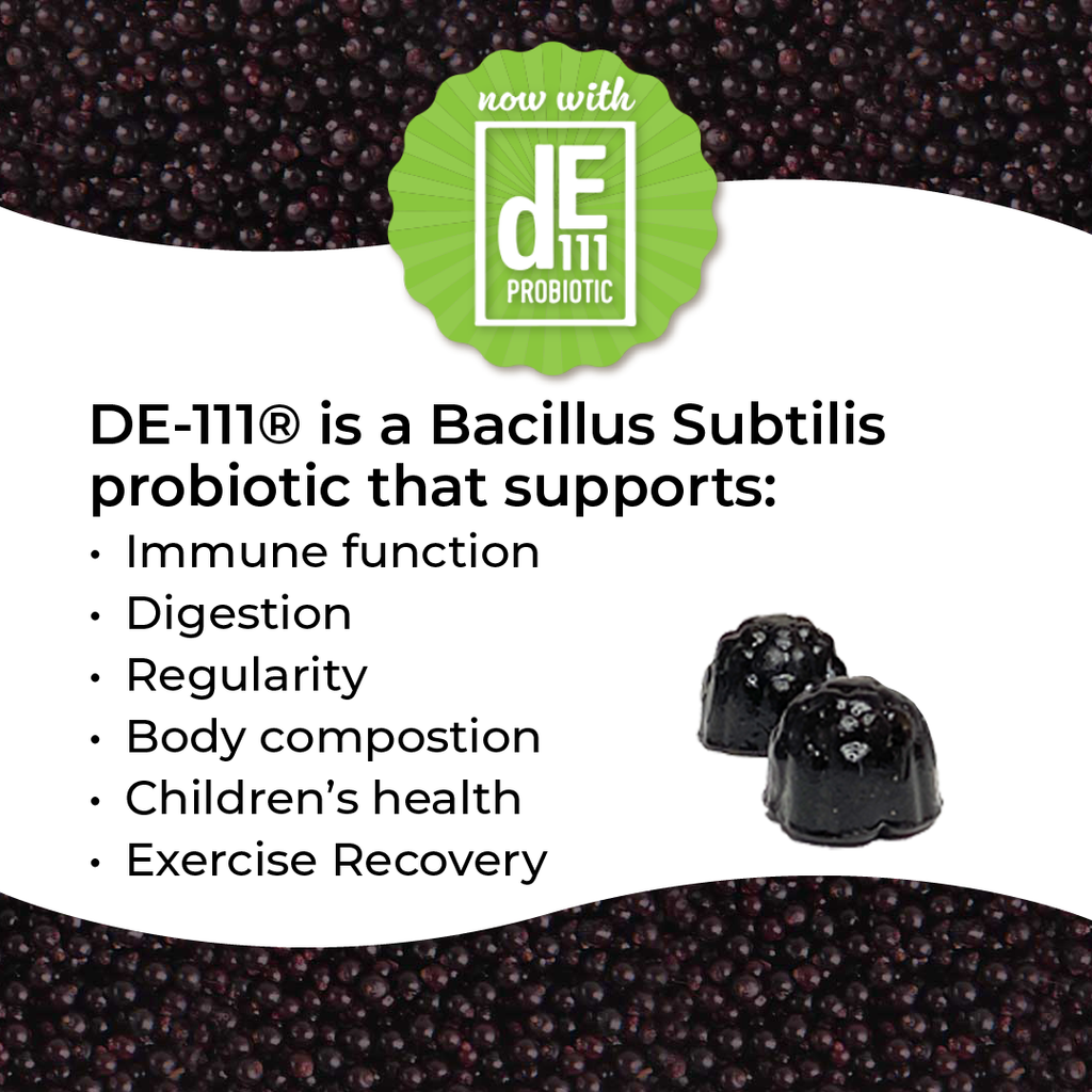 Organic Elderberry + Probiotic Gummies