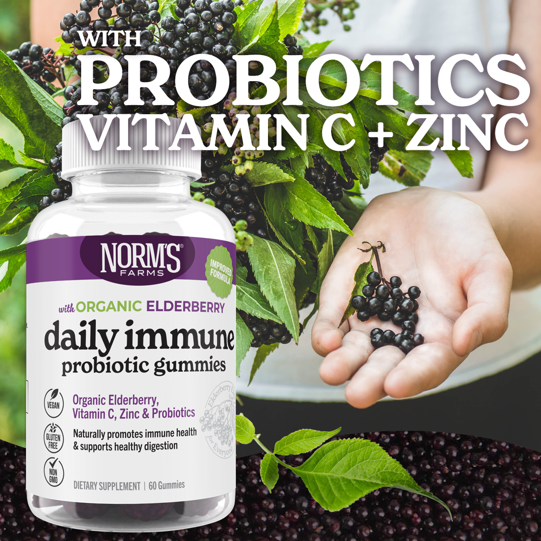 Organic Elderberry + Probiotic Gummies