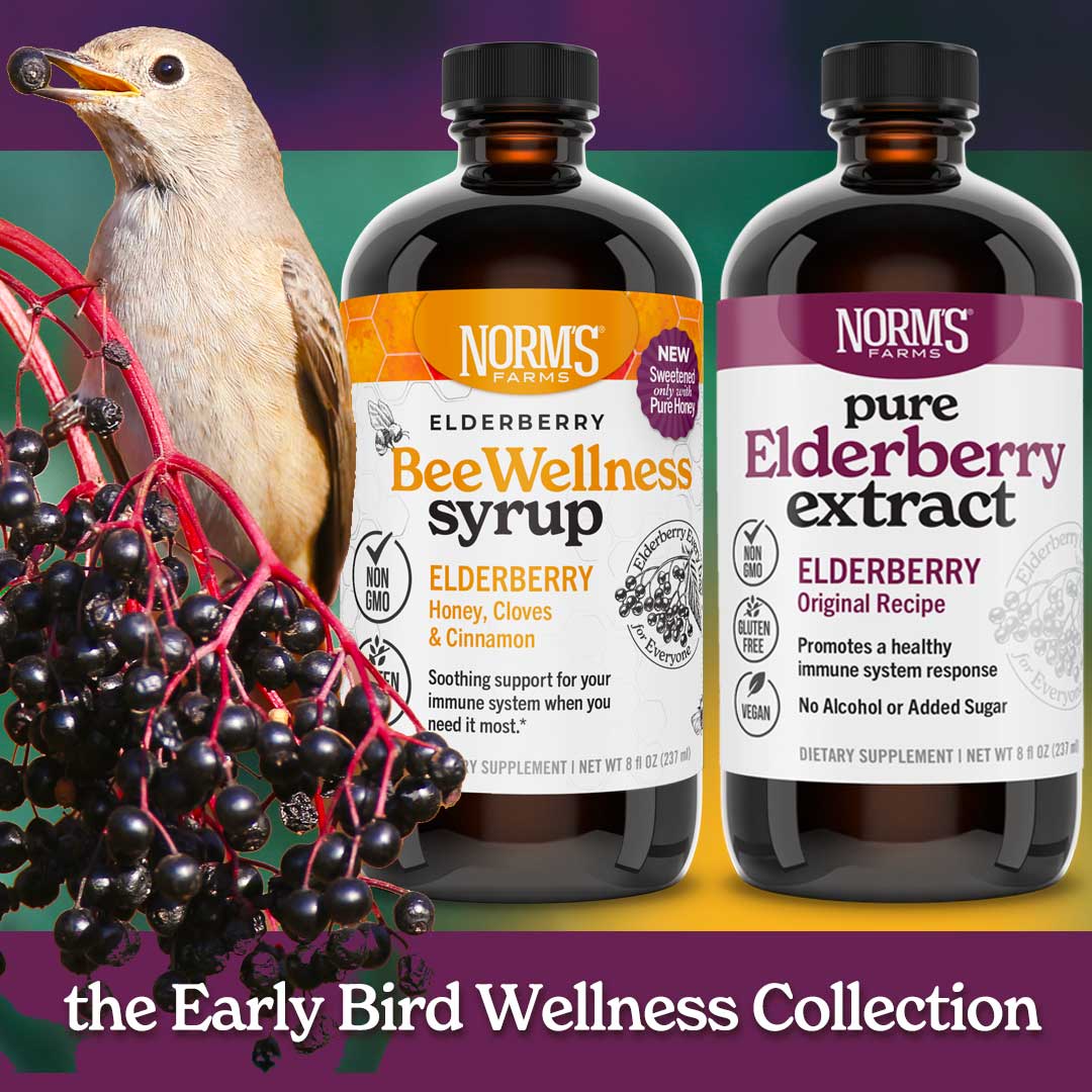 The Early Bird Elderberry Wellness Collection