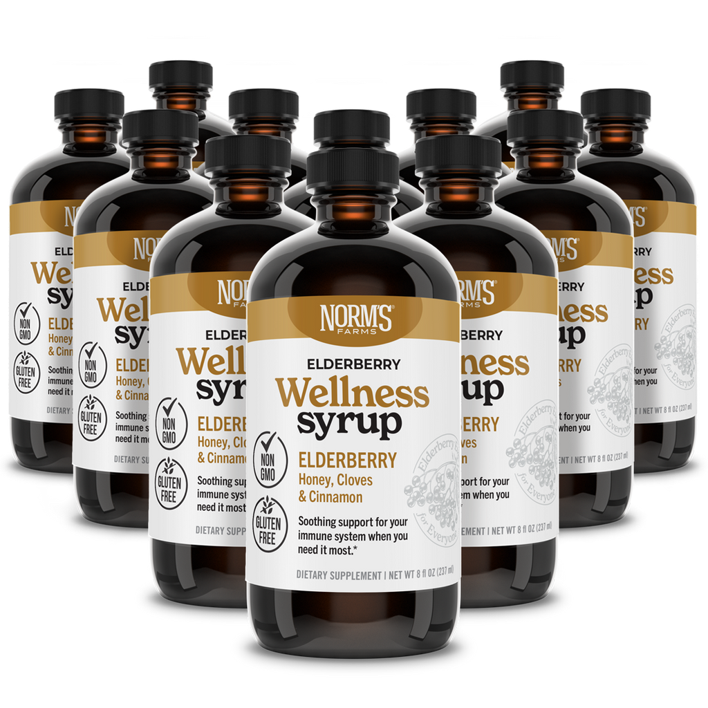 Elderberry Wellness Syrup (8 oz.)