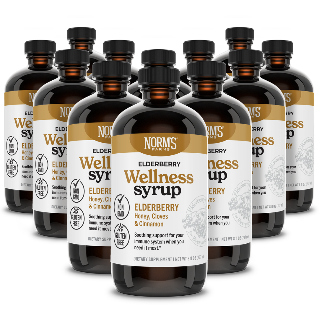 Elderberry Wellness Syrup (8 oz.)