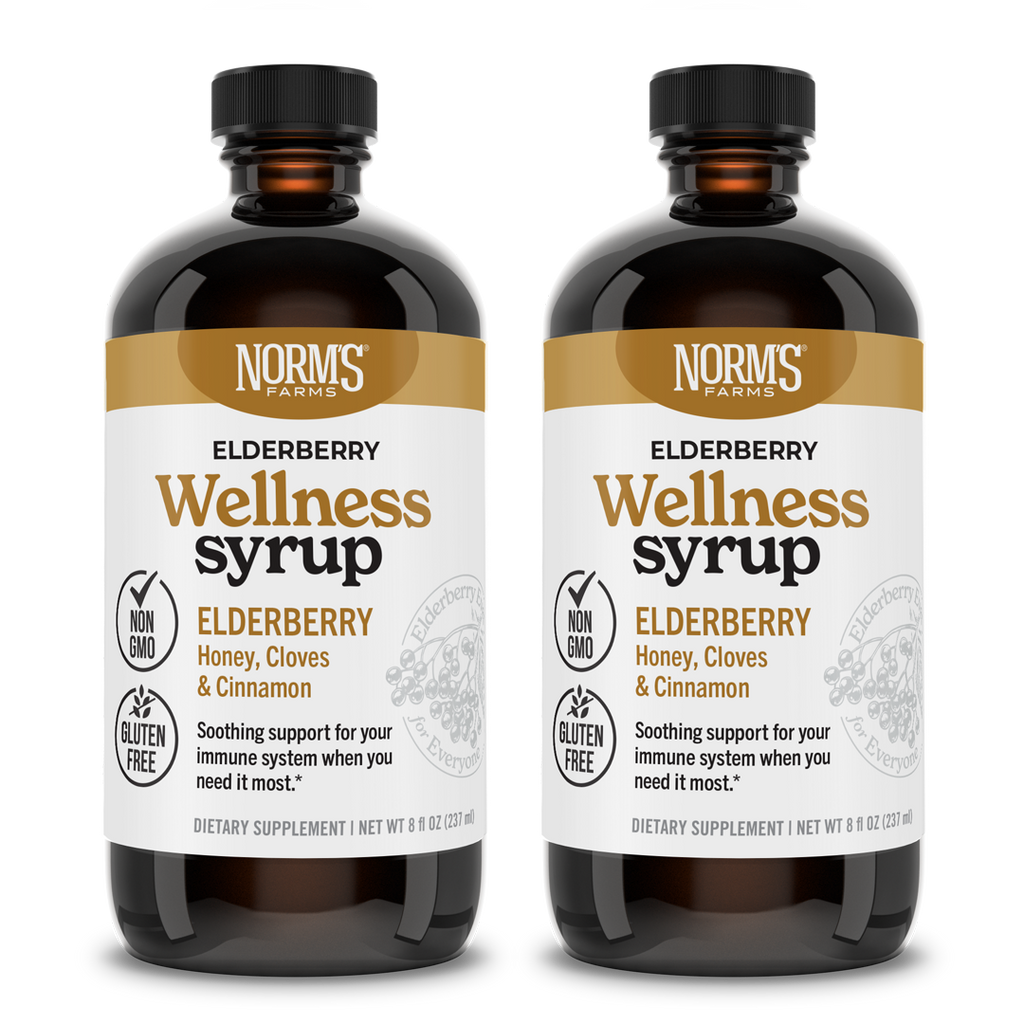 Elderberry Wellness Syrup (8 oz.)
