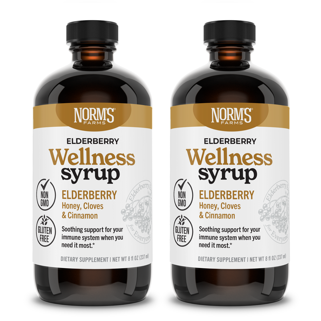 Elderberry Wellness Syrup (8 oz.)