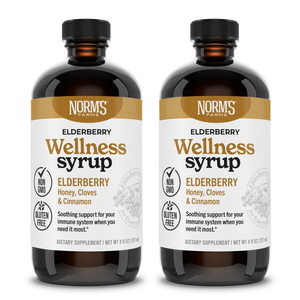 Elderberry Wellness Syrup (8 oz.)