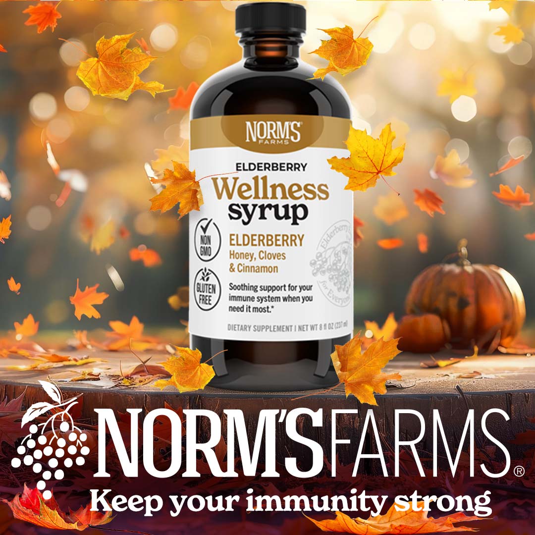 Elderberry Wellness Syrup (8 oz.)