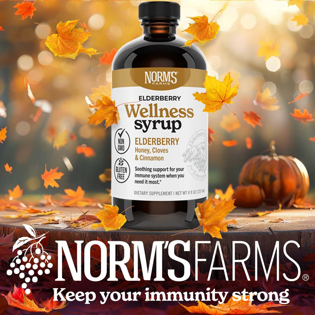 Elderberry Wellness Syrup (8 oz.)