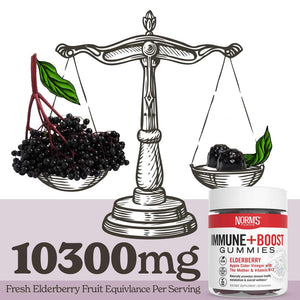 Immune + Boost Gummies - Elderberry & Apple Cider Vinegar