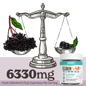 ElderKids Organic Elderberry Gummies